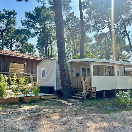 La Cabane Des Pins Lège-Cap-Ferret 外观 照片