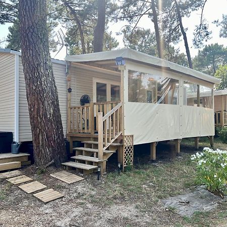 La Cabane Des Pins Lège-Cap-Ferret 外观 照片