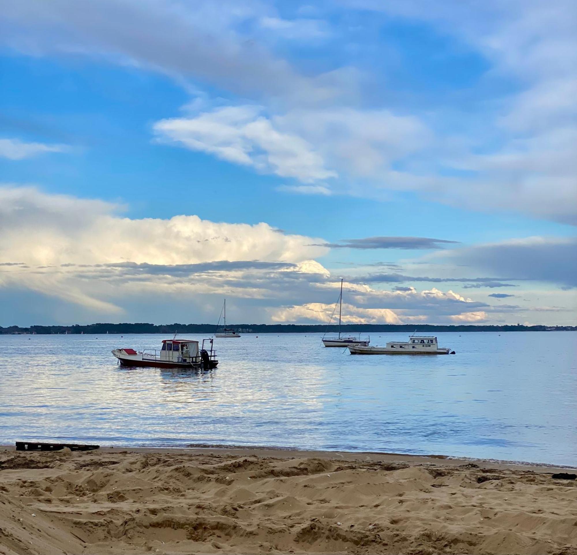 La Cabane Des Pins Lège-Cap-Ferret 外观 照片