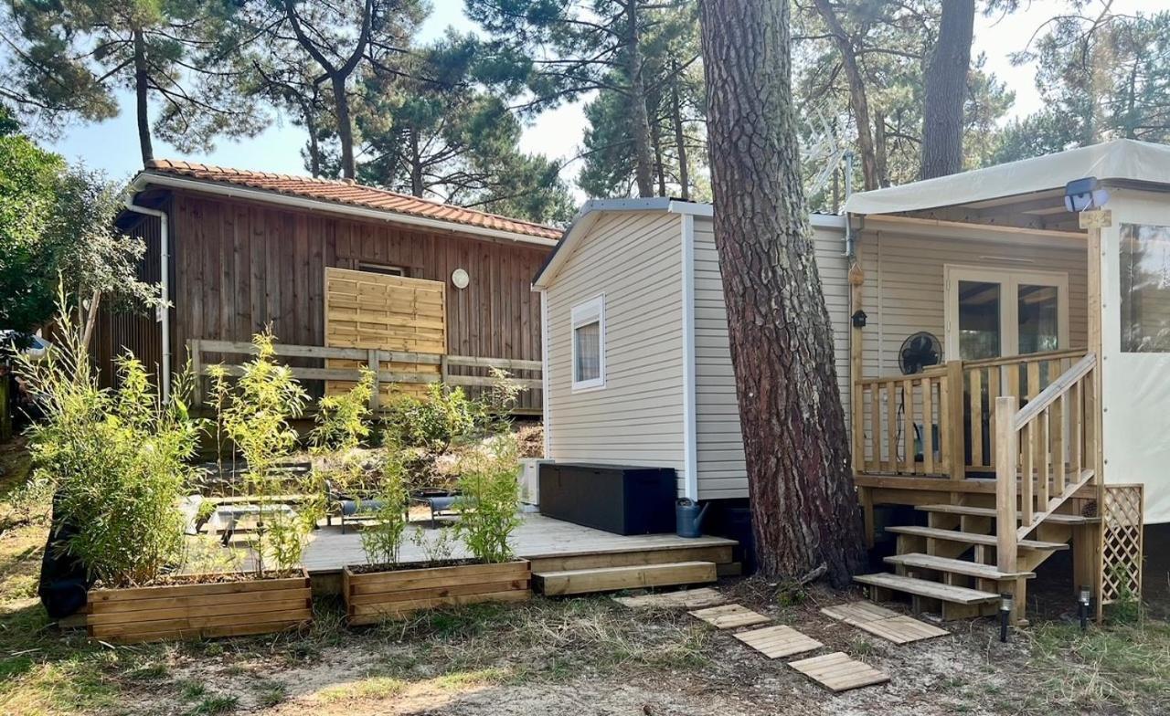 La Cabane Des Pins Lège-Cap-Ferret 外观 照片