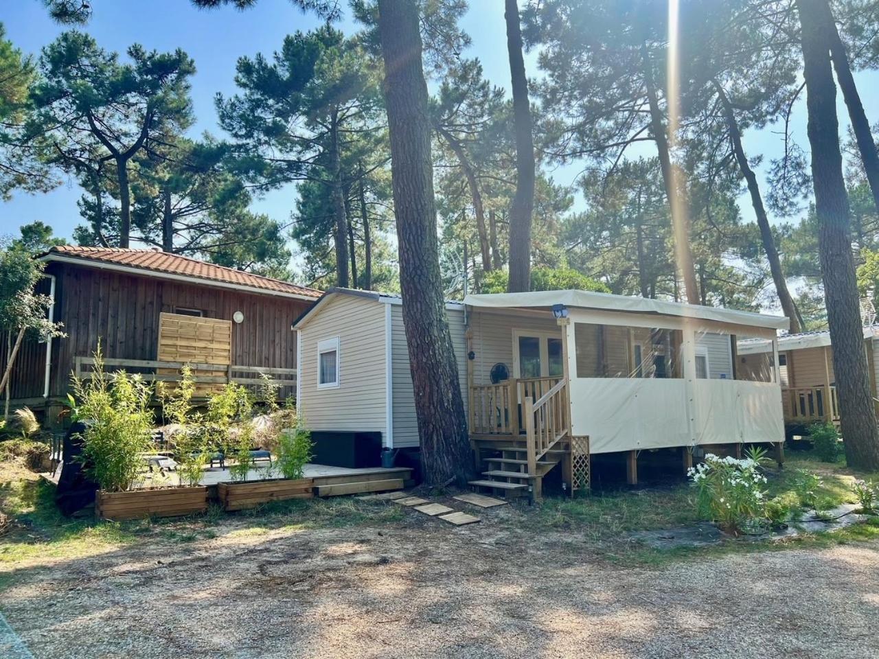 La Cabane Des Pins Lège-Cap-Ferret 外观 照片
